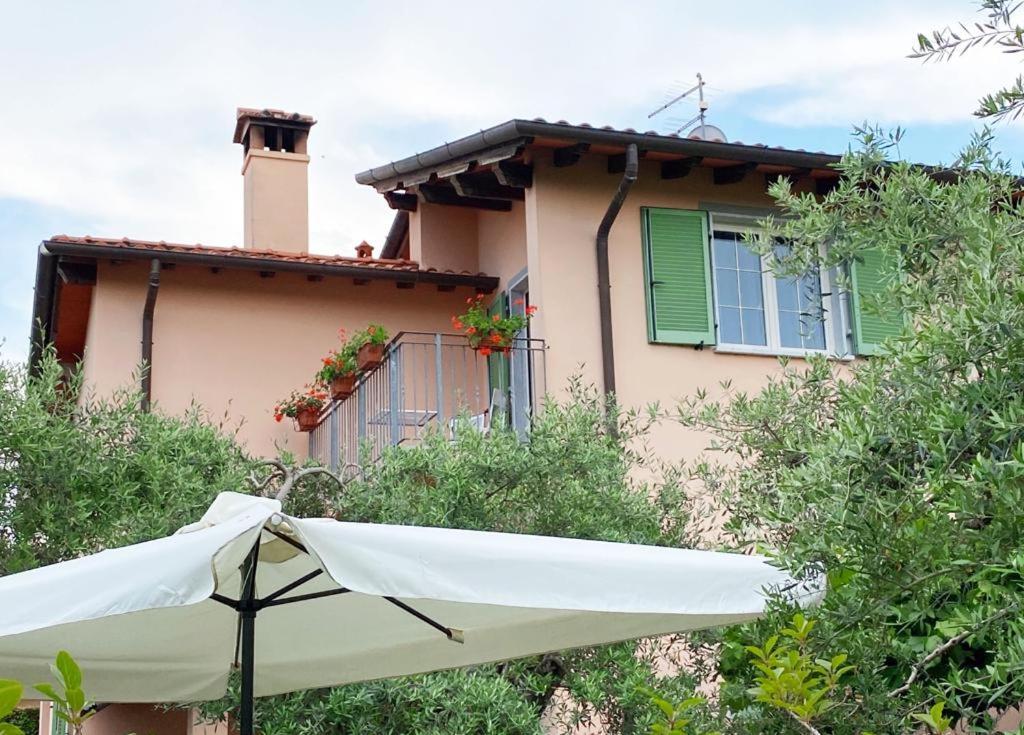 La Madonnina Bed & Breakfast Querceta Dış mekan fotoğraf