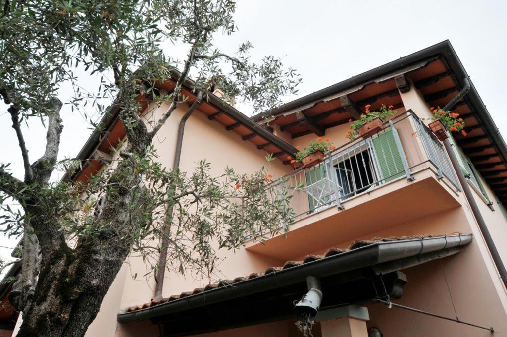 La Madonnina Bed & Breakfast Querceta Dış mekan fotoğraf