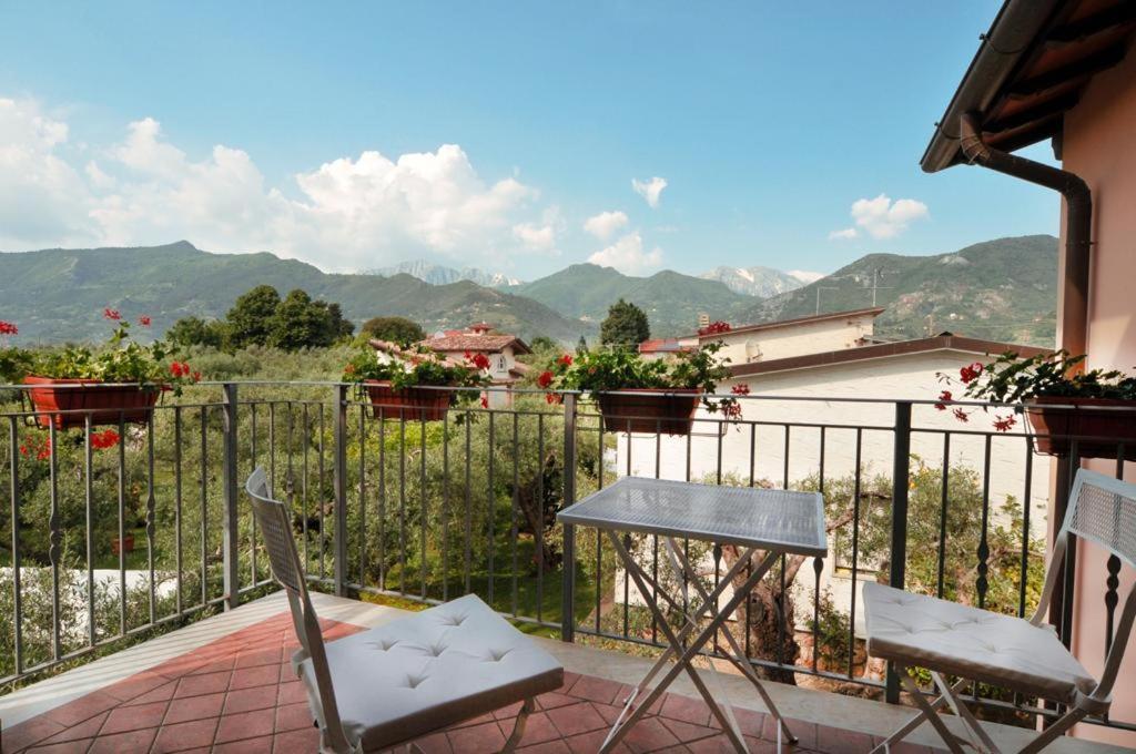 La Madonnina Bed & Breakfast Querceta Dış mekan fotoğraf
