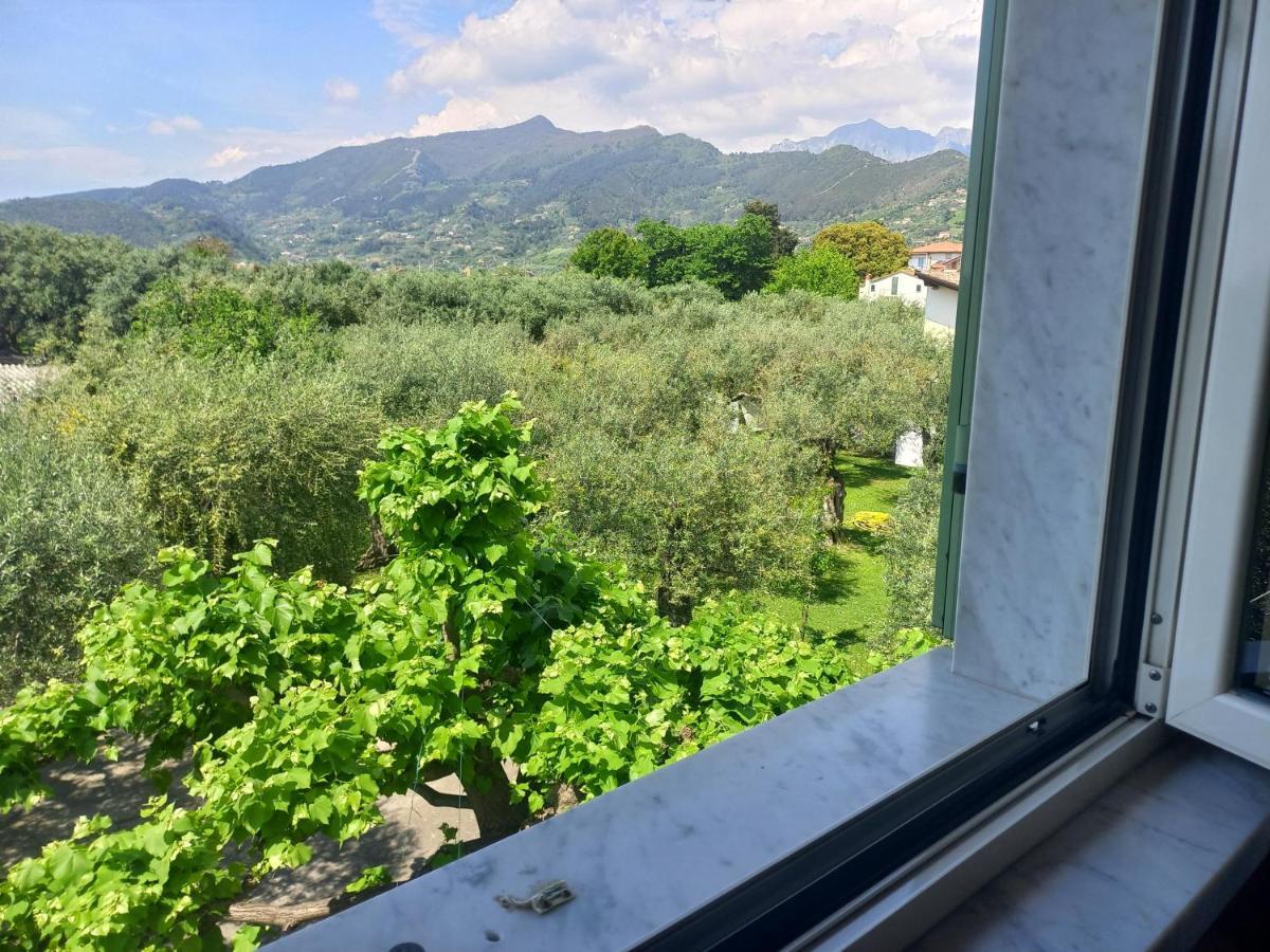 La Madonnina Bed & Breakfast Querceta Dış mekan fotoğraf
