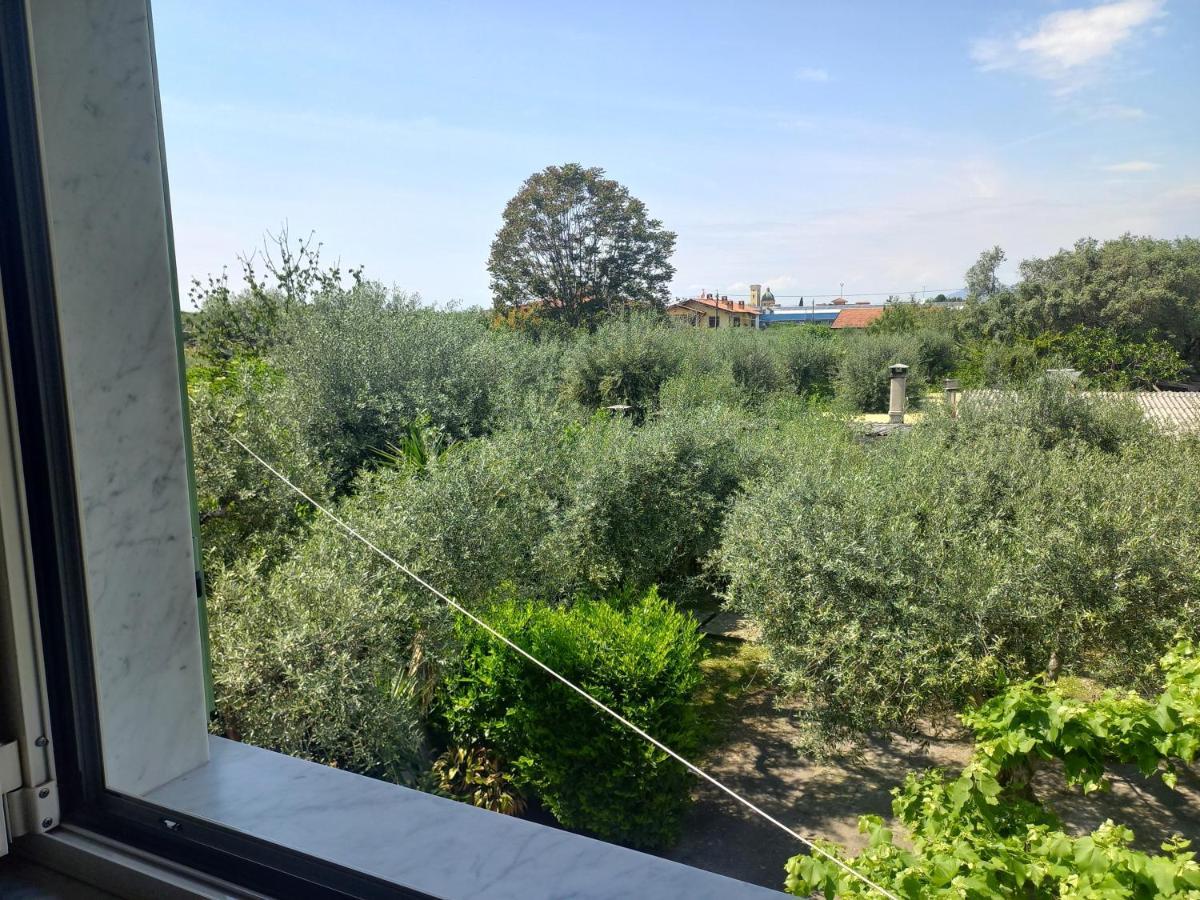 La Madonnina Bed & Breakfast Querceta Dış mekan fotoğraf